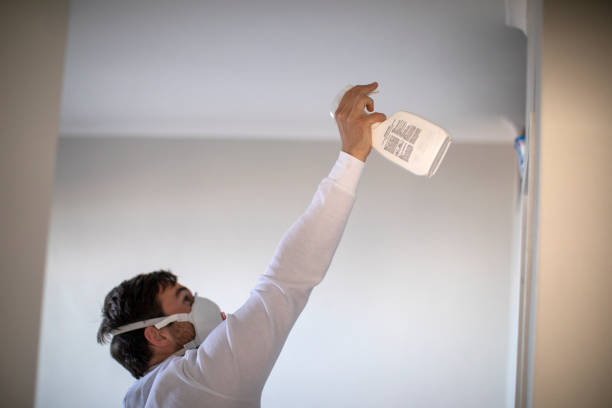 Las Vegas, NM Mold Removal Company
