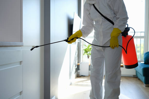Best Professional Mold Removal  in Las Vegas, NM