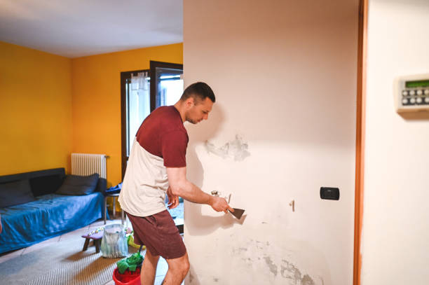 Best Water Damage Restoration  in Las Vegas, NM